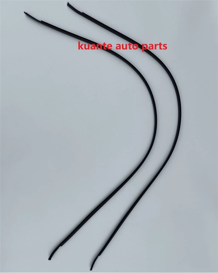 in stock car strips roof
